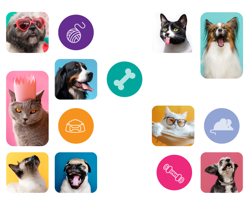 FunnyPets